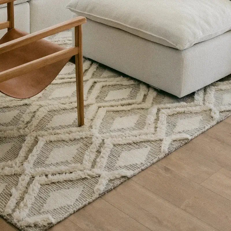 Textured area rug in a modern living room